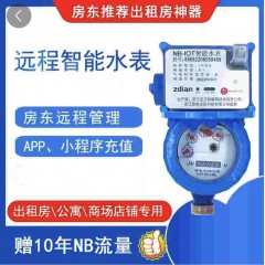 NB冷水表DN15(含10年流量)